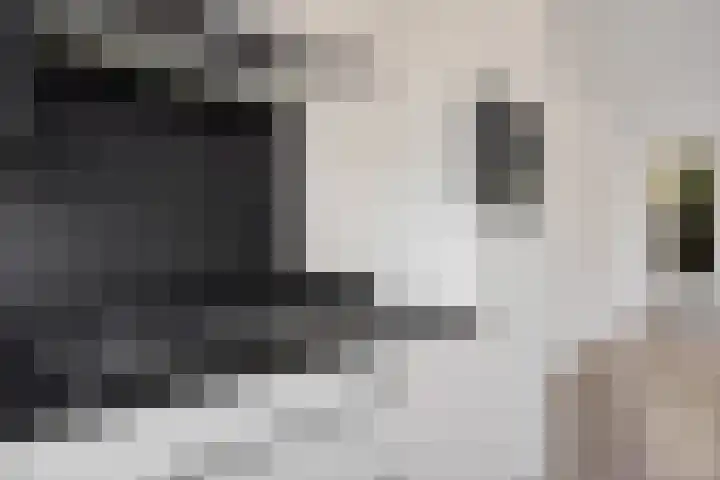 Koenderinklanden 45 Enschede thumbnail 11