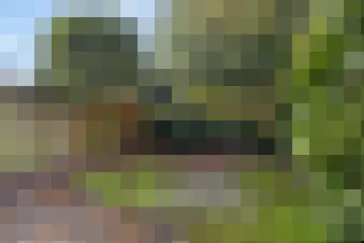 Koenderinklanden 45 Enschede thumbnail 32