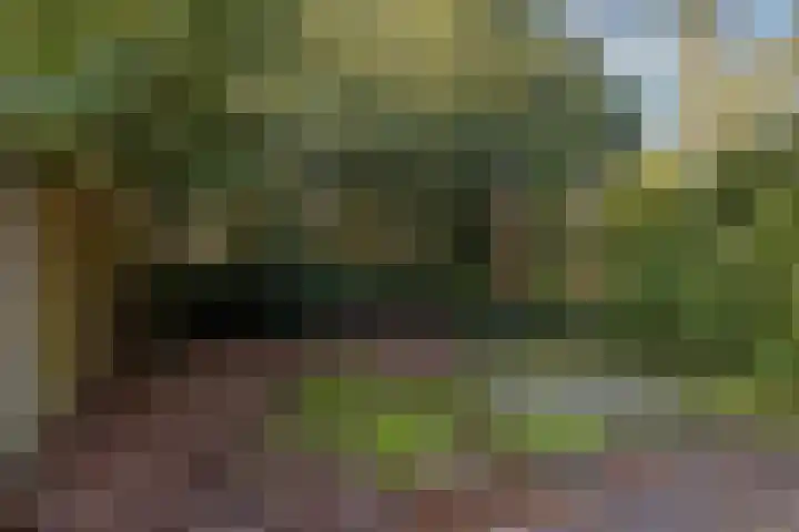 Koenderinklanden 45 Enschede thumbnail 33