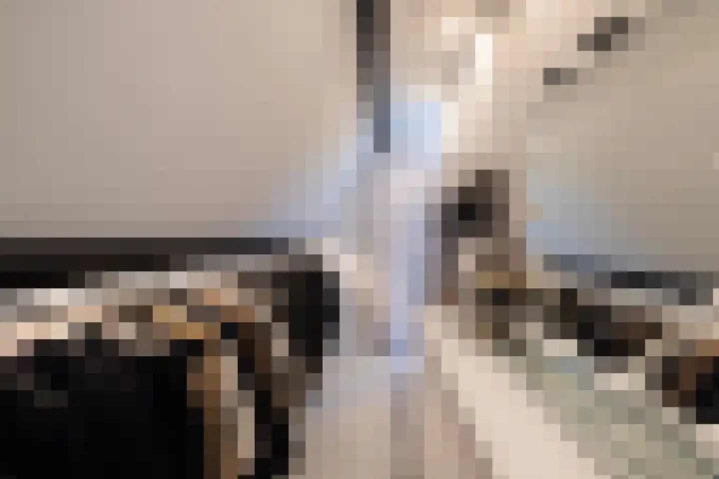 Koenderseweg 1 Leerbroek thumbnail 10