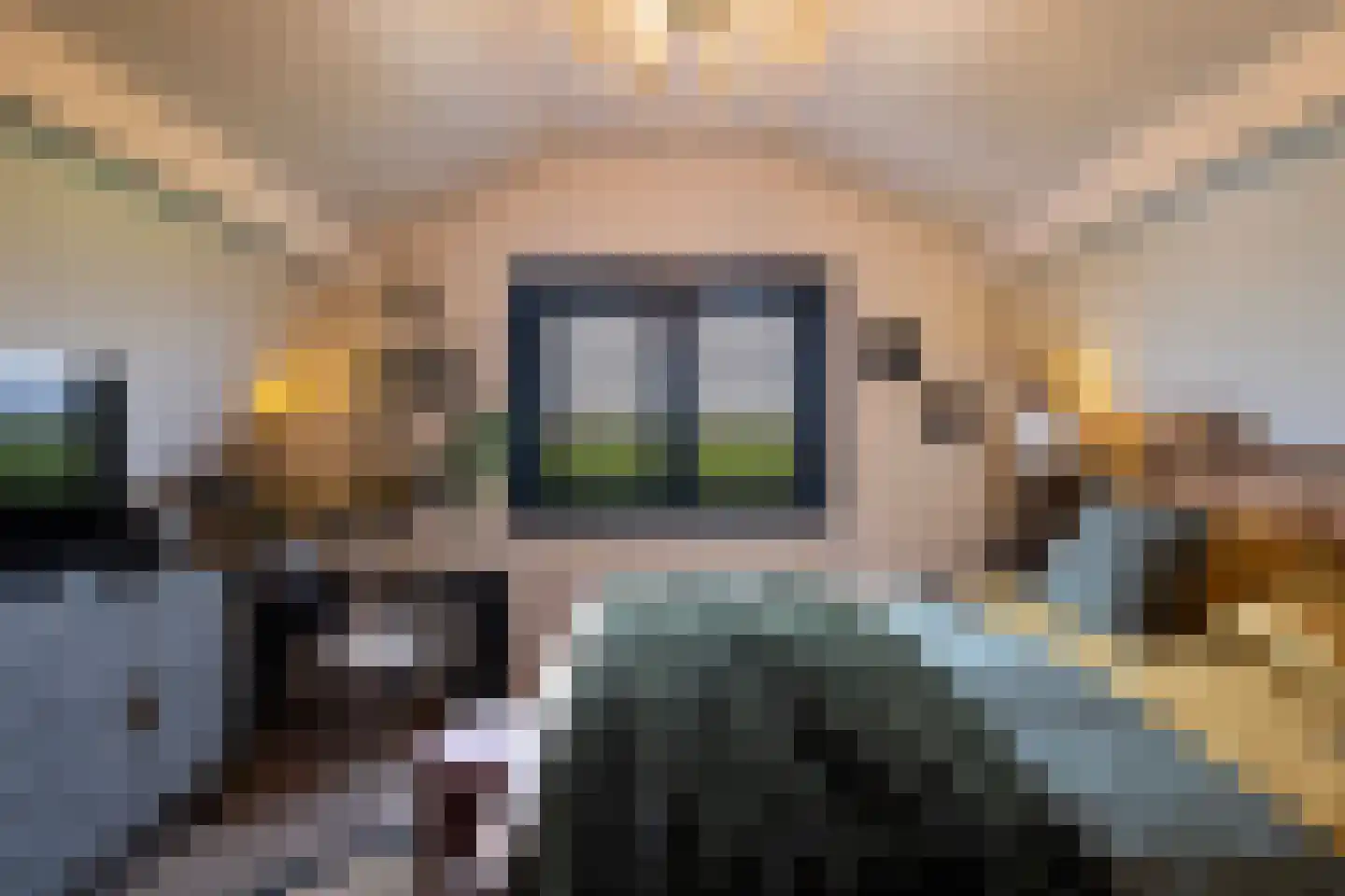 Koenderseweg 1 Leerbroek thumbnail 11