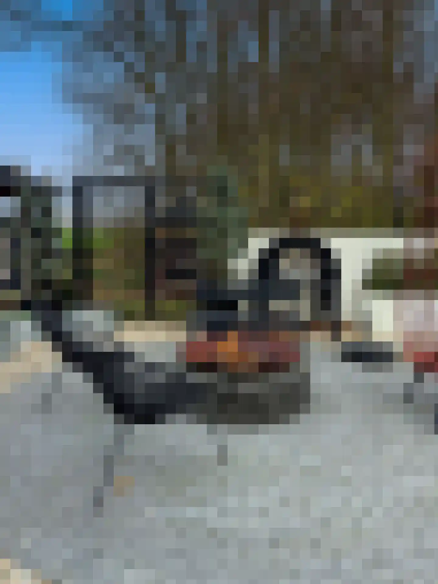 Koenderseweg 1 Leerbroek thumbnail 15