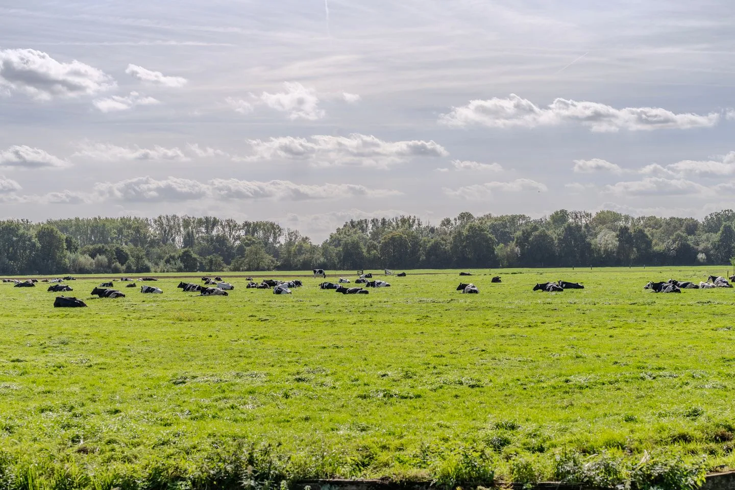 Koenderseweg 1 Leerbroek thumbnail 31