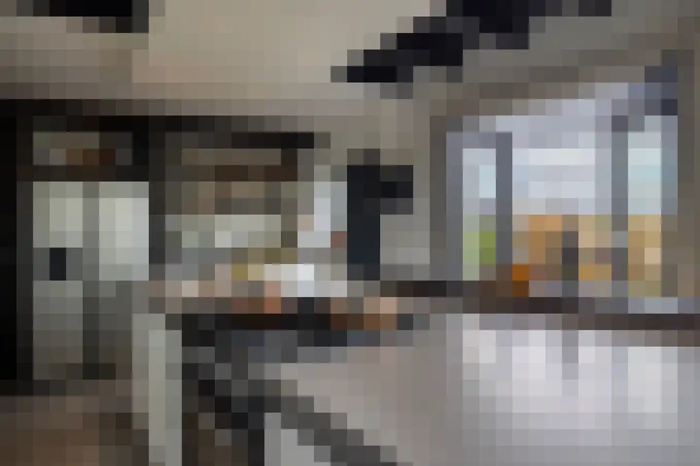 Koenderseweg 1 Leerbroek thumbnail 4