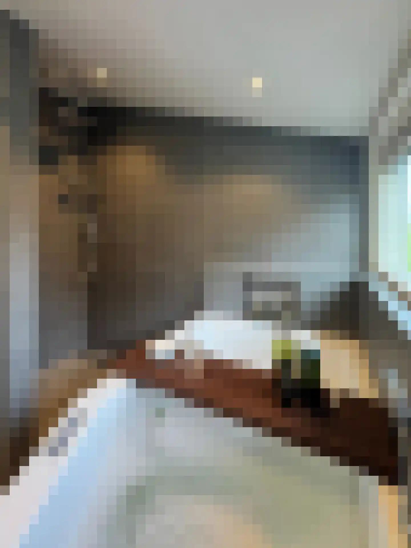 Koenderseweg 1 Leerbroek thumbnail 6