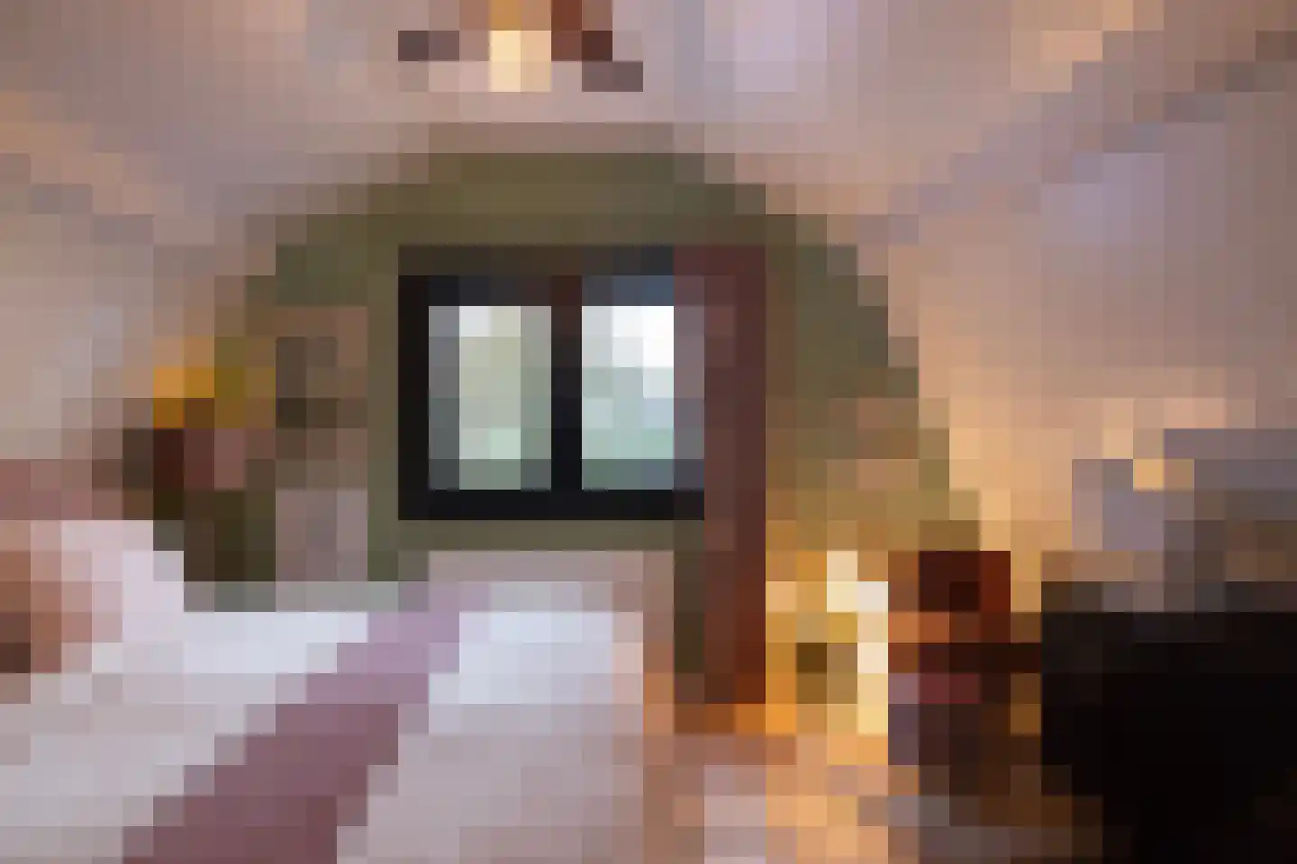 Koenderseweg 1 Leerbroek thumbnail 8