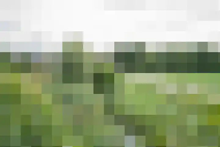 Koenderseweg 2 Oosterwijk thumbnail 25