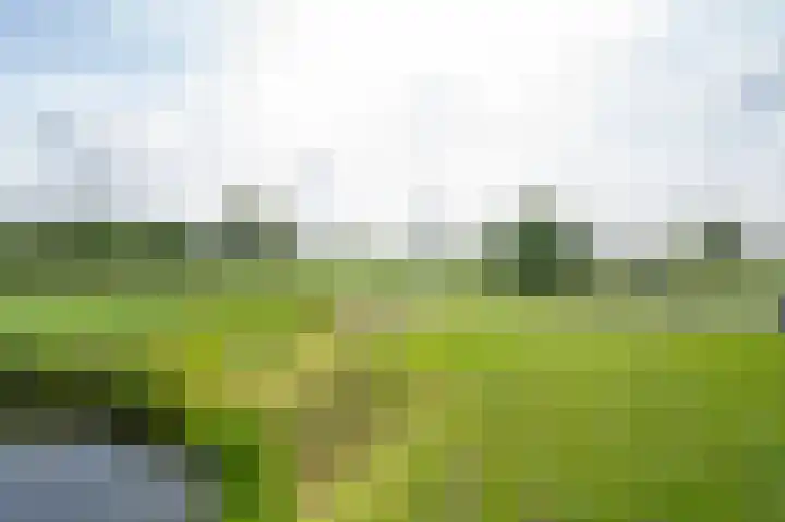 Koenderseweg 2 Oosterwijk thumbnail 39