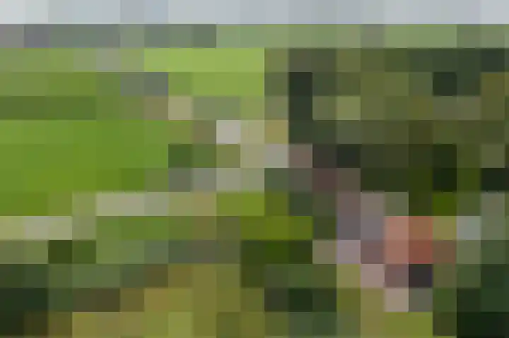 Koenderseweg 2 Oosterwijk thumbnail 5