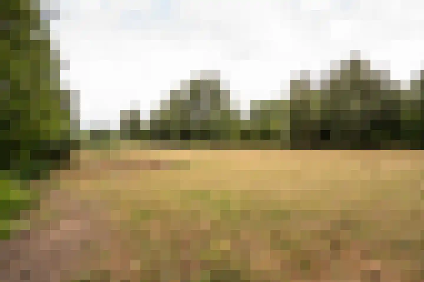 Koenderseweg 5 Oosterwijk thumbnail 4