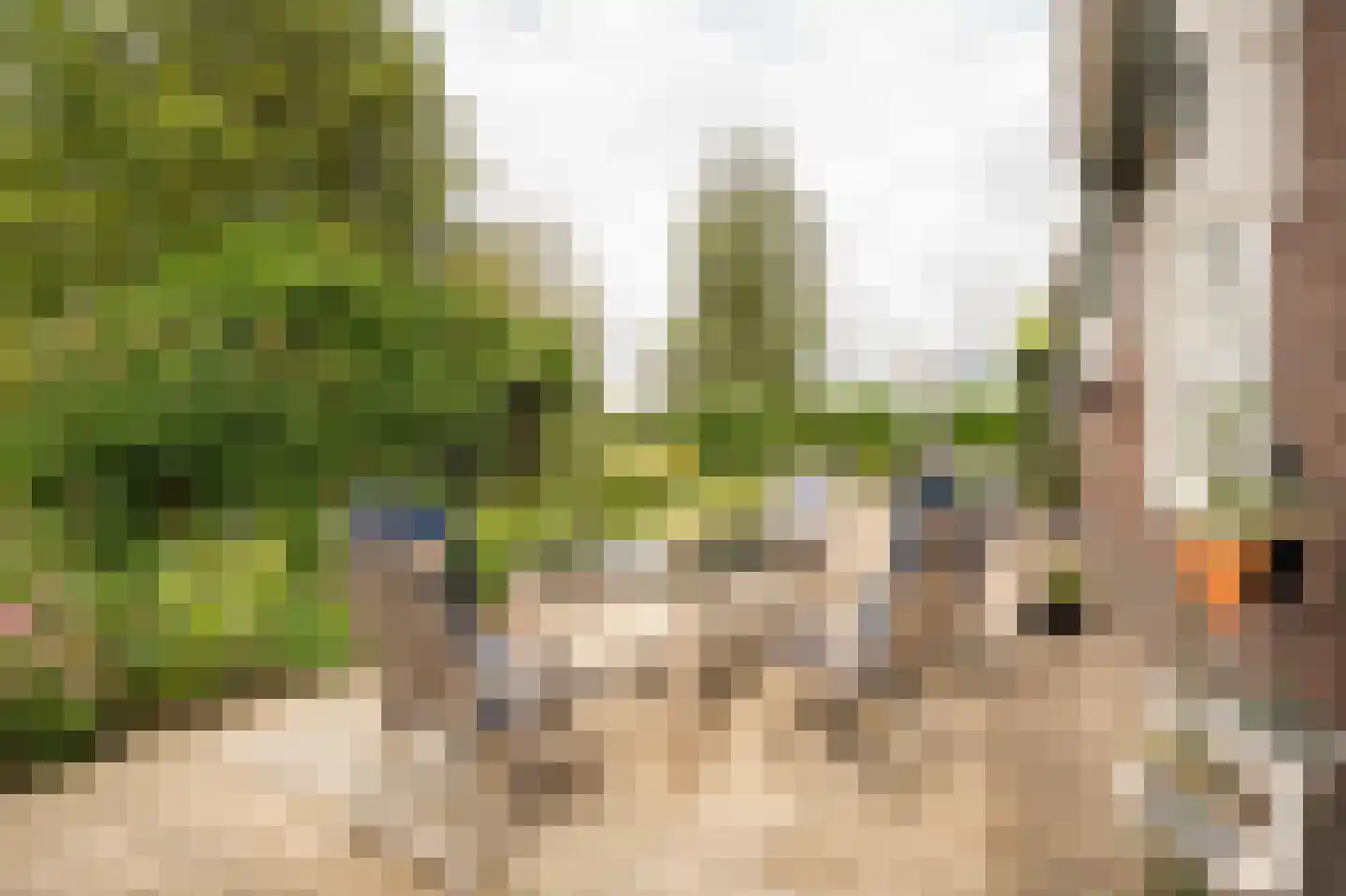Koenderseweg 5 Oosterwijk thumbnail 47