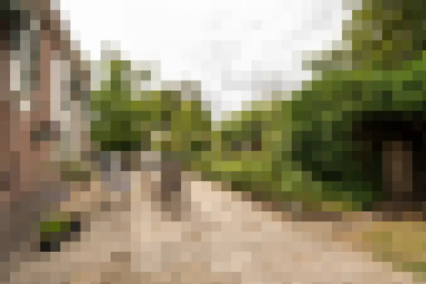 Koenderseweg 5 Oosterwijk thumbnail 48