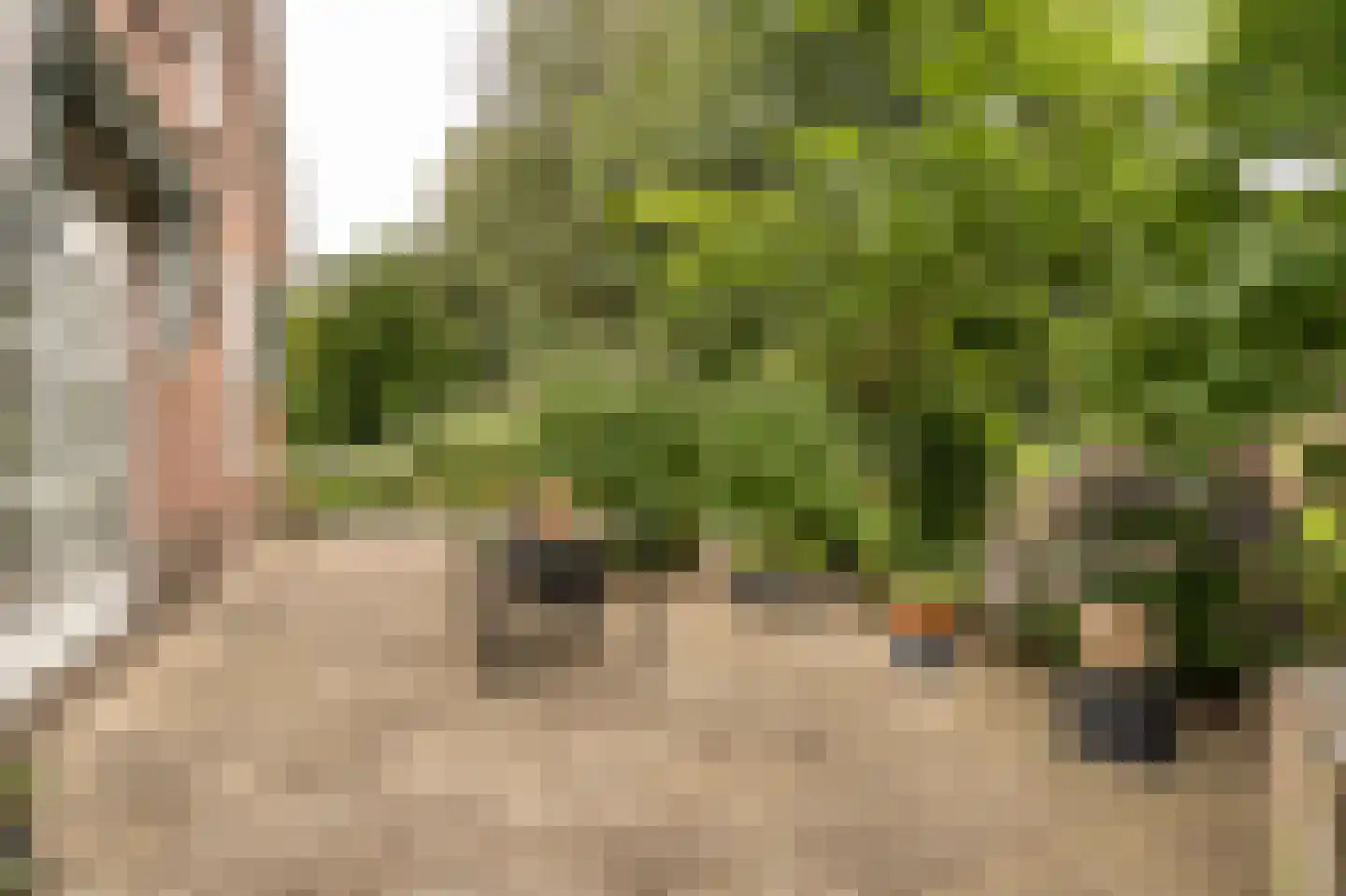 Koenderseweg 5 Oosterwijk thumbnail 49