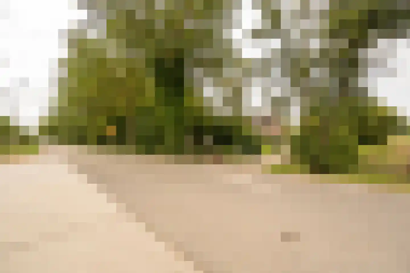 Koenderseweg 5 Oosterwijk thumbnail 5