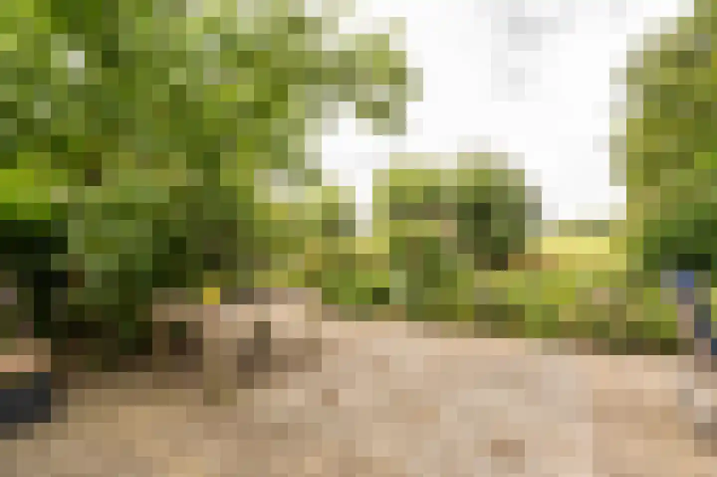 Koenderseweg 5 Oosterwijk thumbnail 50