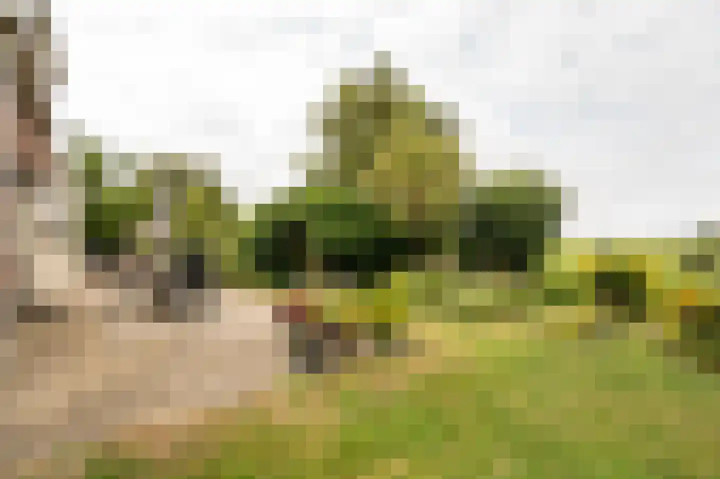 Koenderseweg 5 Oosterwijk thumbnail 51