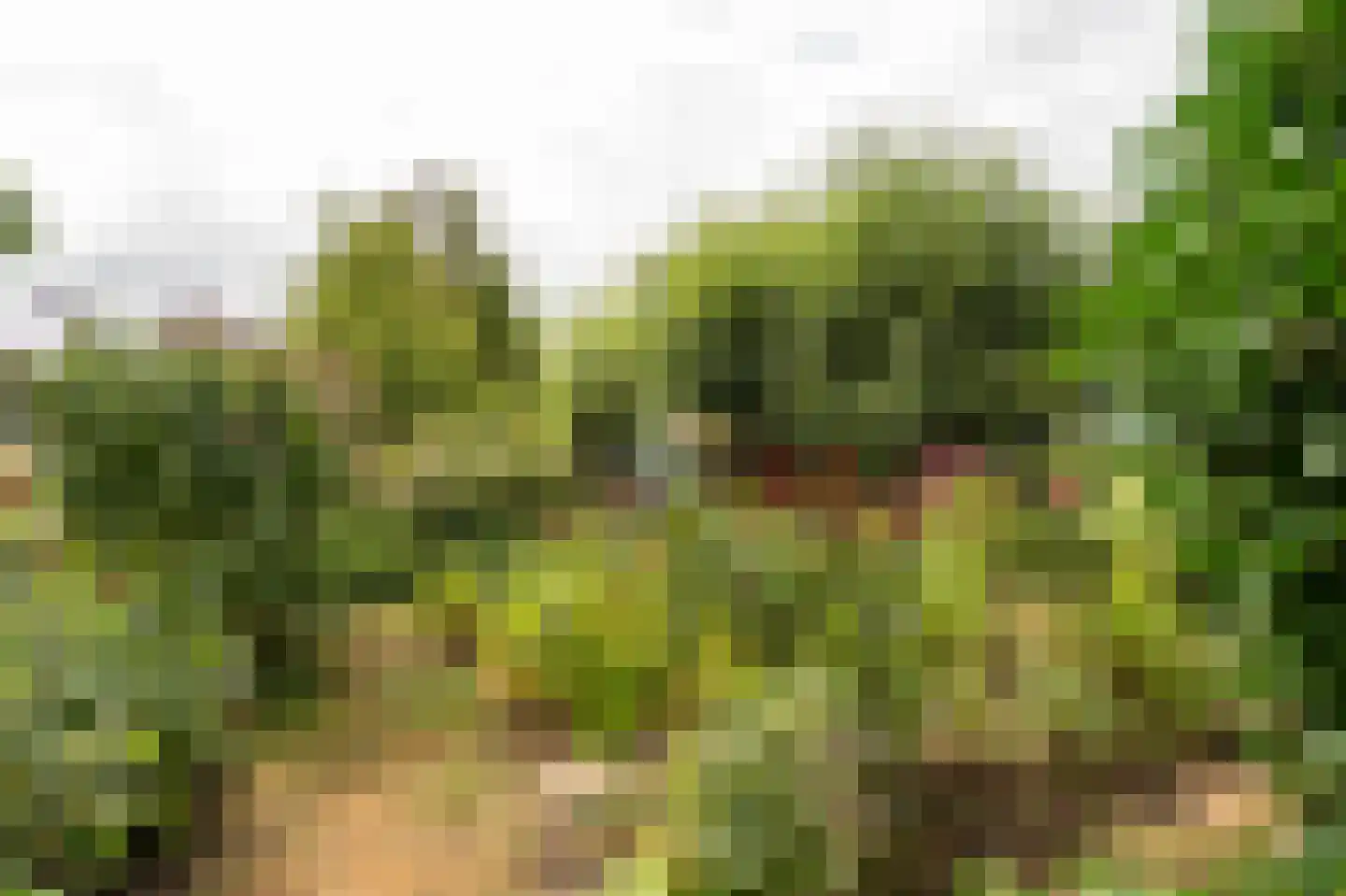 Koenderseweg 5 Oosterwijk thumbnail 53