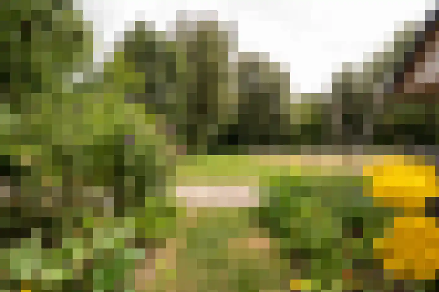 Koenderseweg 5 Oosterwijk thumbnail 54
