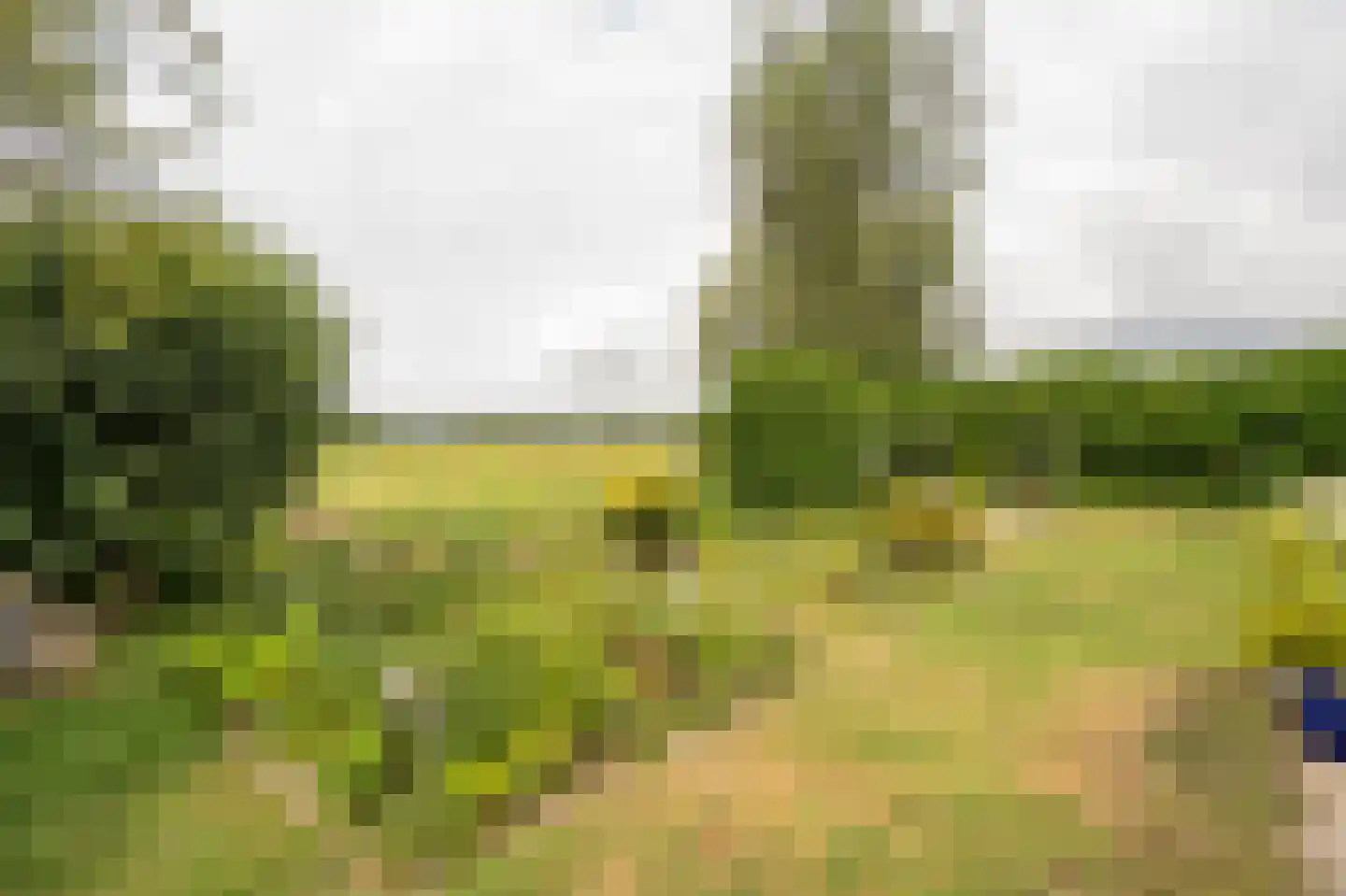 Koenderseweg 5 Oosterwijk thumbnail 56