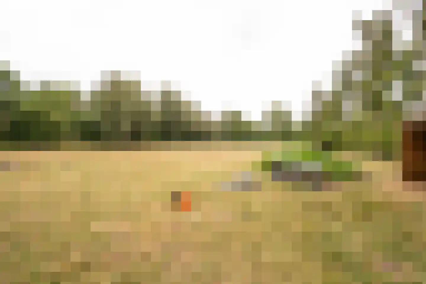 Koenderseweg 5 Oosterwijk thumbnail 59