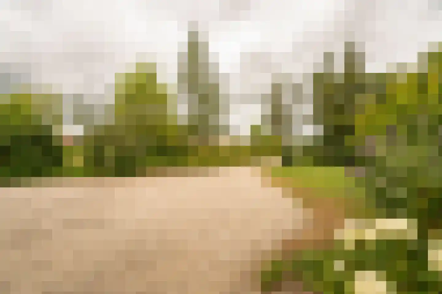 Koenderseweg 5 Oosterwijk thumbnail 6
