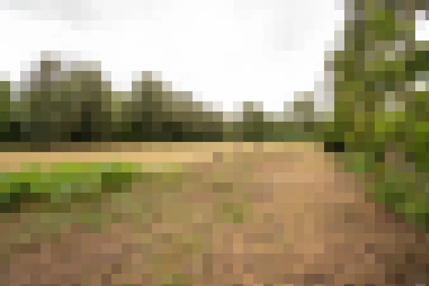 Koenderseweg 5 Oosterwijk thumbnail 60