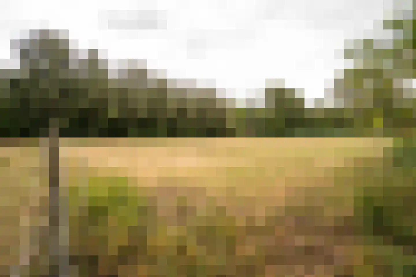 Koenderseweg 5 Oosterwijk thumbnail 62