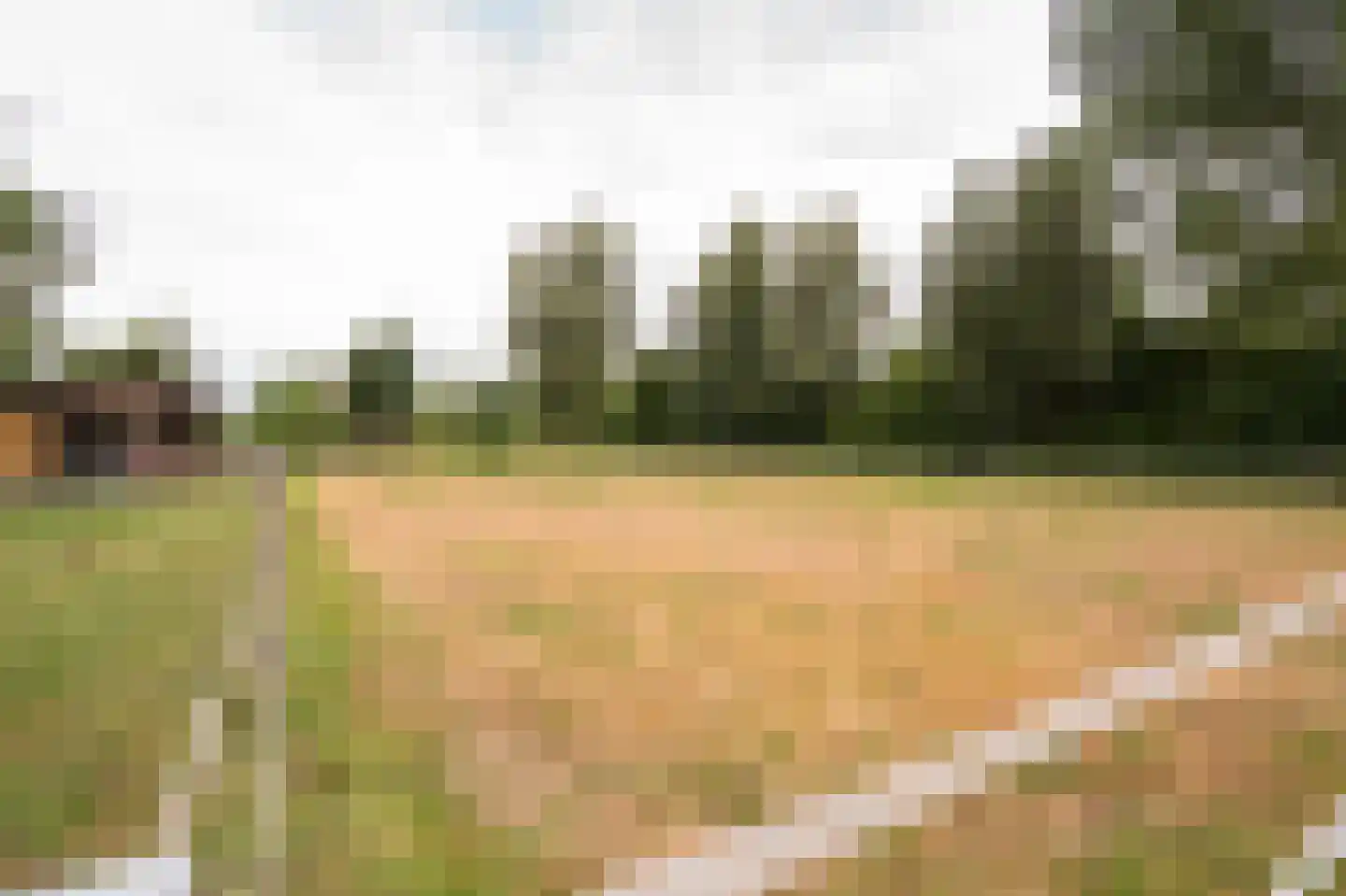 Koenderseweg 5 Oosterwijk thumbnail 63