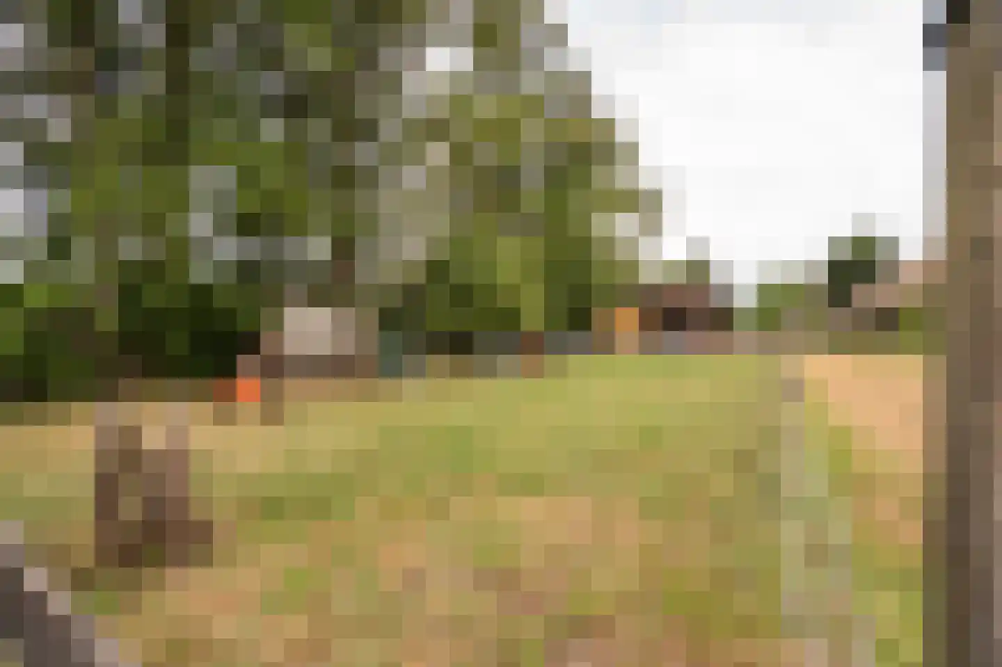 Koenderseweg 5 Oosterwijk thumbnail 64
