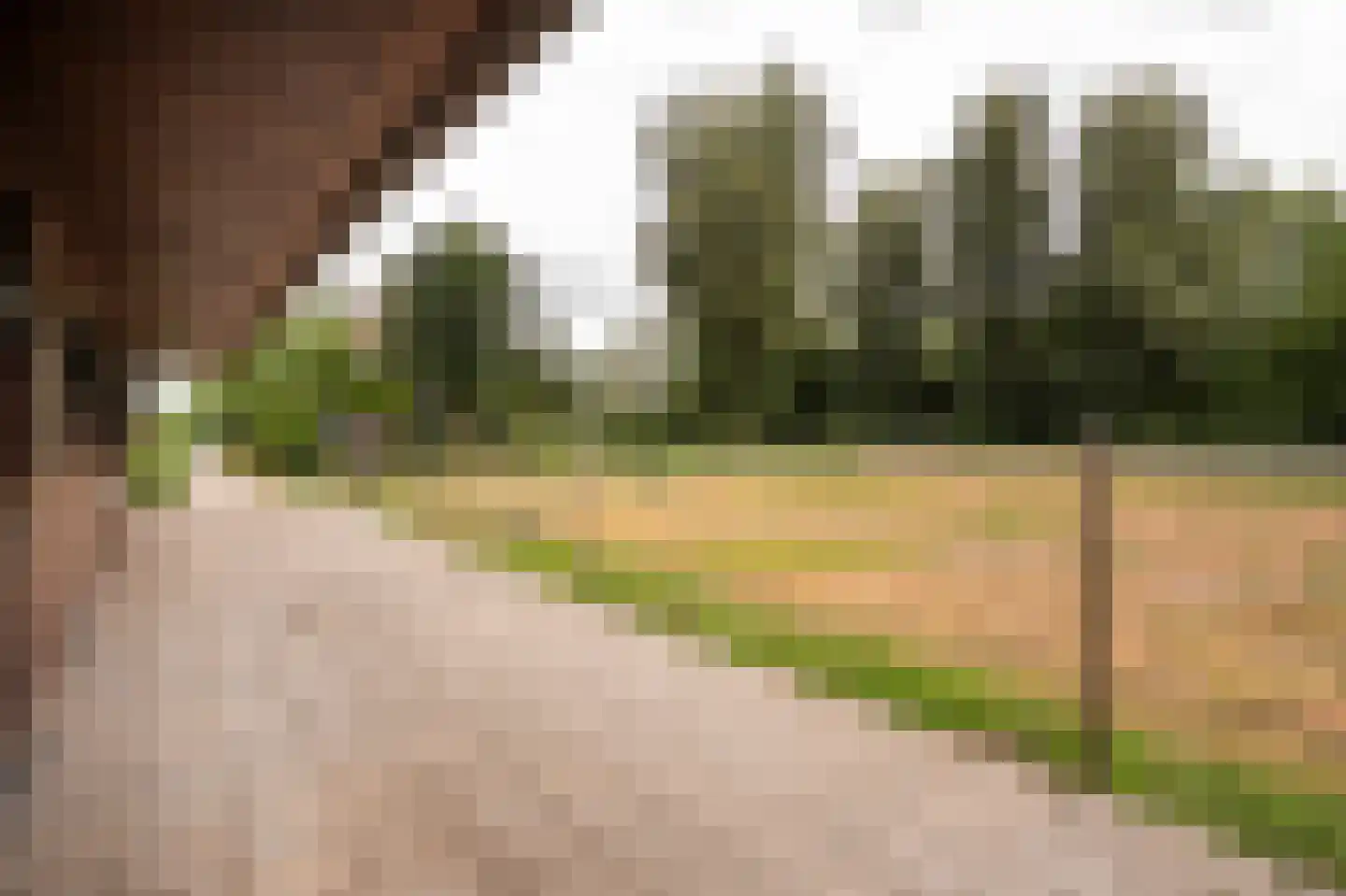 Koenderseweg 5 Oosterwijk thumbnail 67