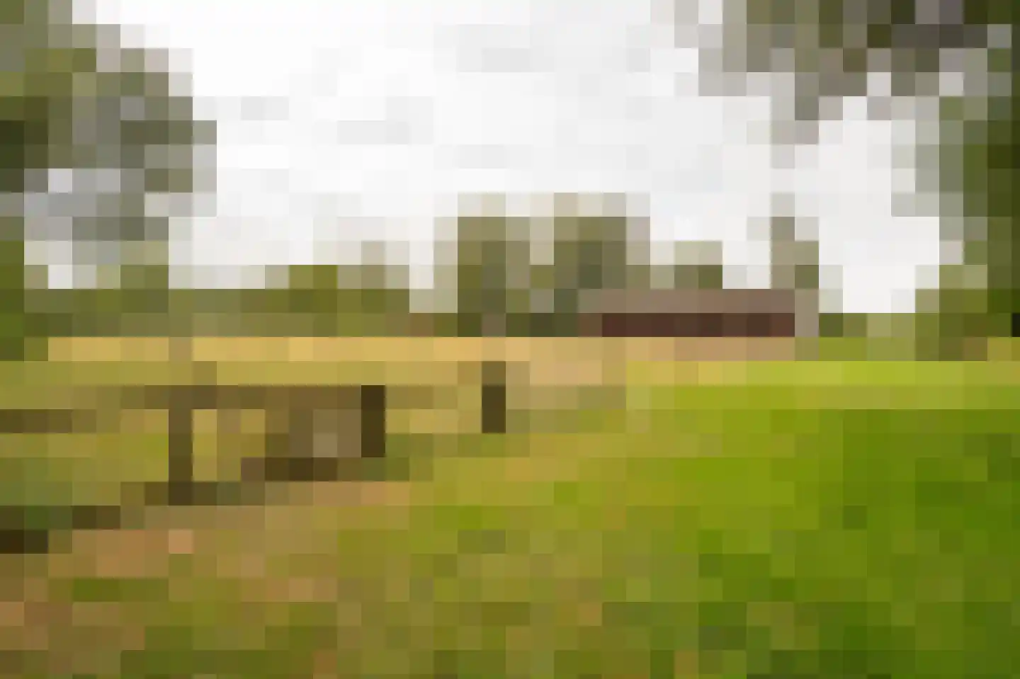 Koenderseweg 5 Oosterwijk thumbnail 69