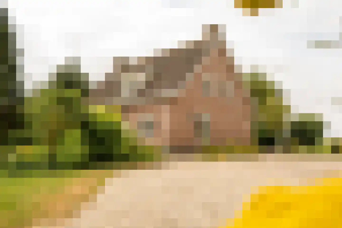 Koenderseweg 5 Oosterwijk thumbnail 7