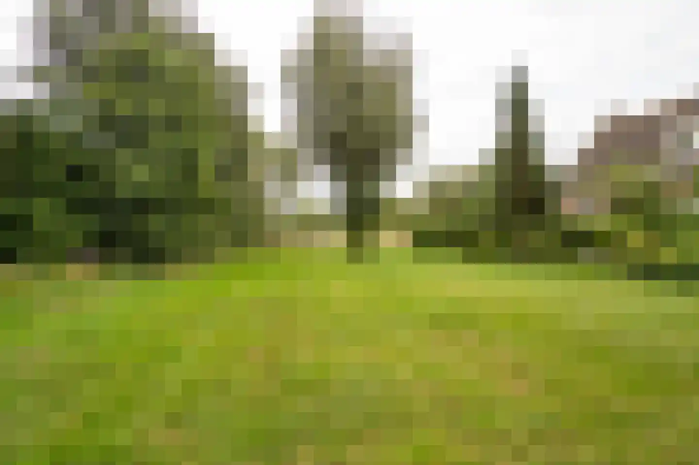 Koenderseweg 5 Oosterwijk thumbnail 70