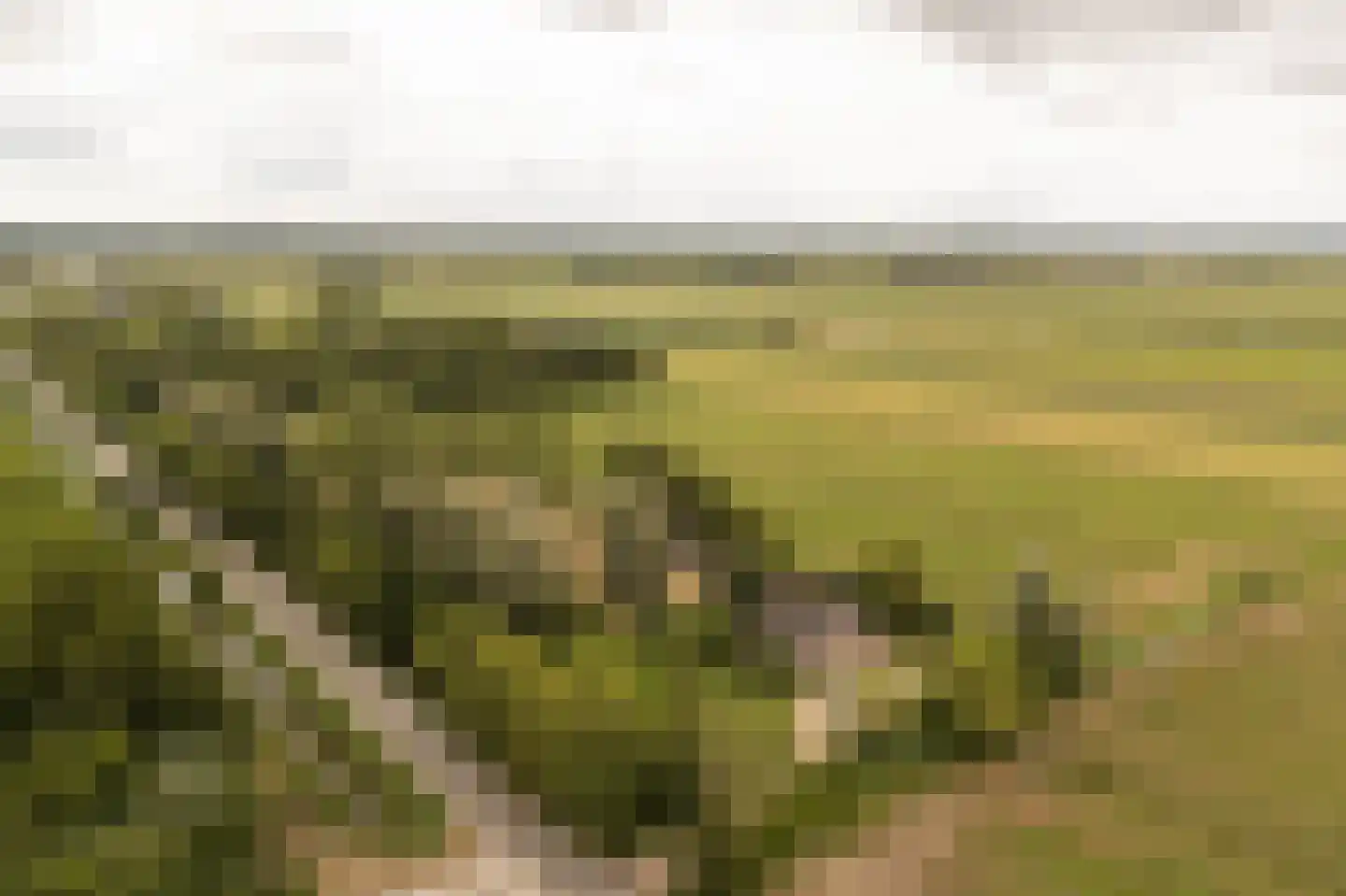 Koenderseweg 5 Oosterwijk thumbnail 72