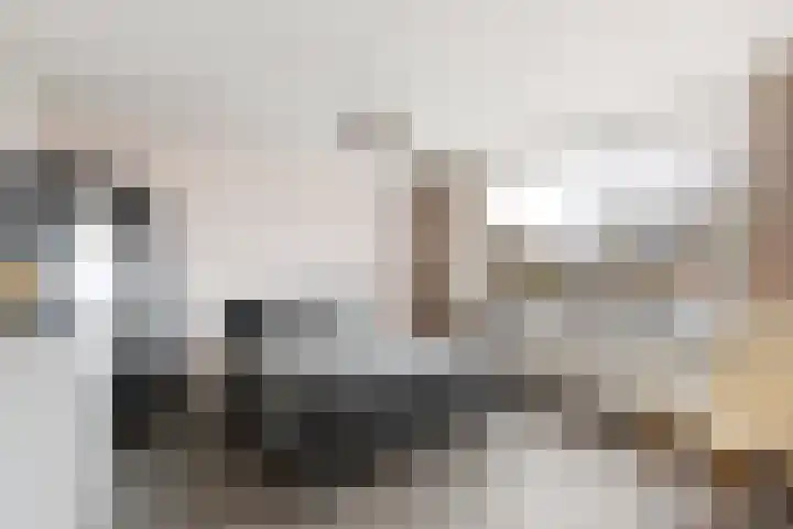 Koenenlaan 30 Heerhugowaard thumbnail 17