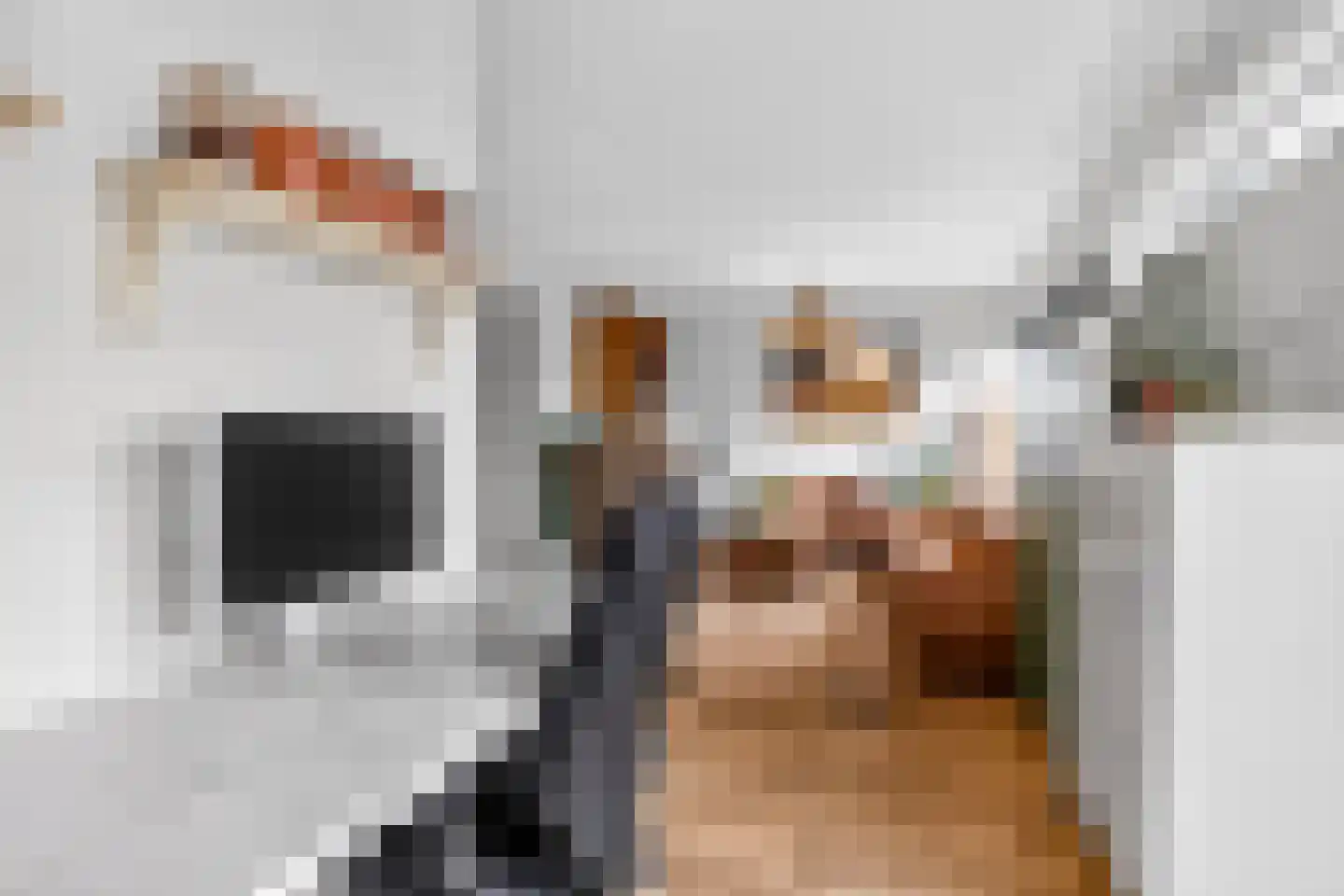 Koenenlaan 4 Wageningen thumbnail 10