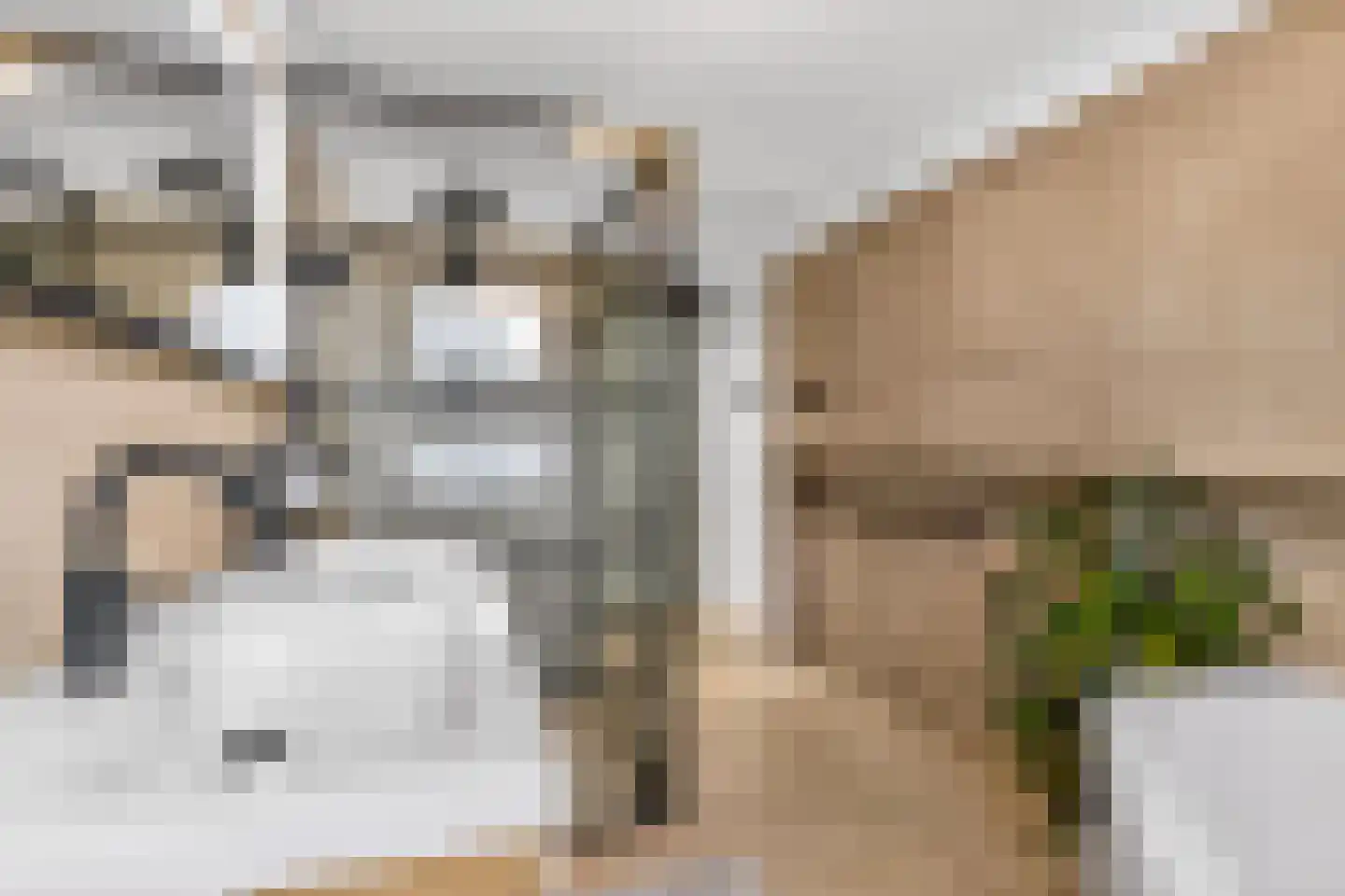 Koenenlaan 4 Wageningen thumbnail 28