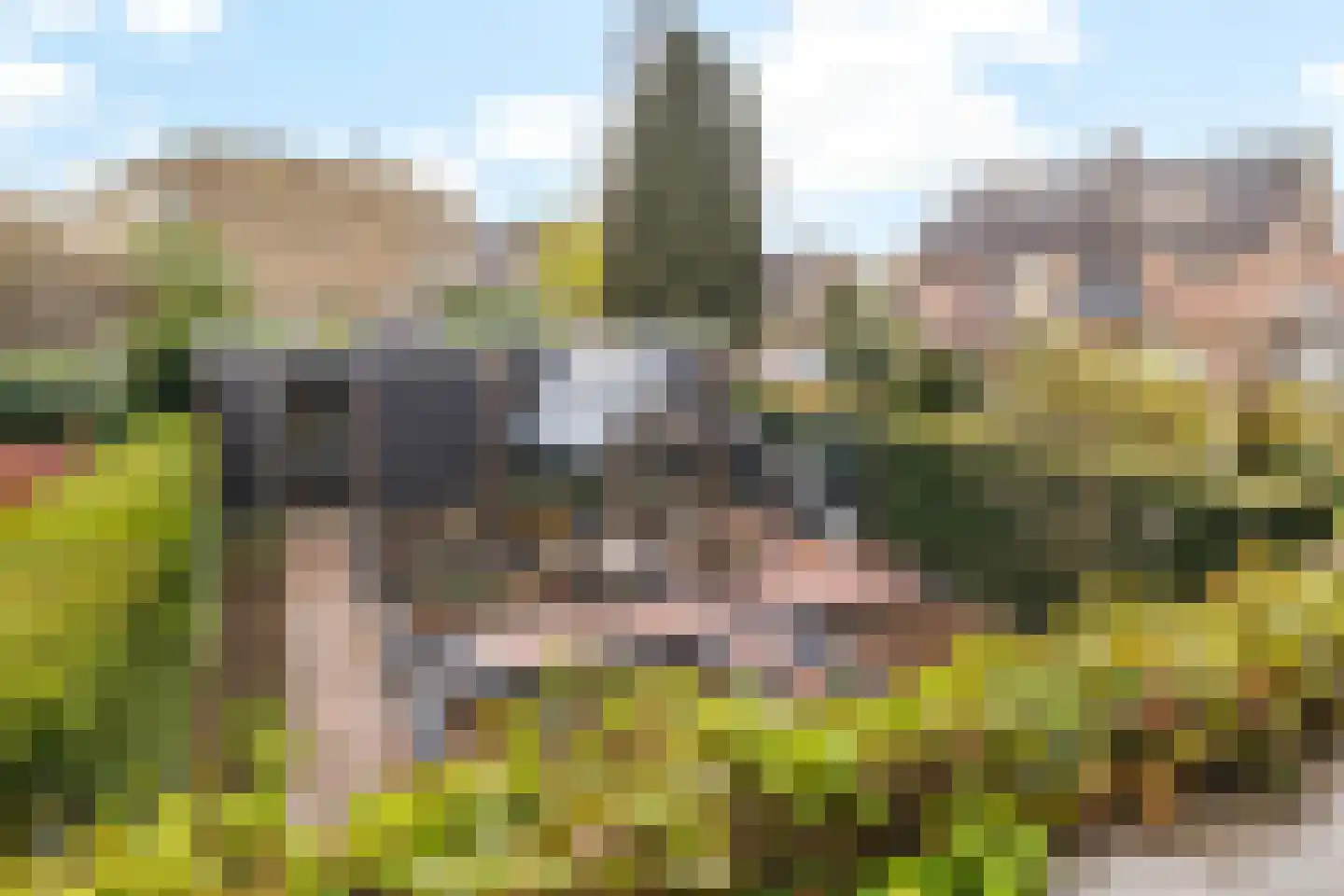 Koenenlaan 4 Wageningen thumbnail 44