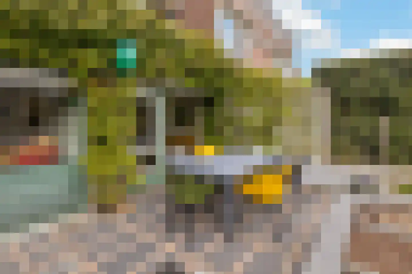 Koenenlaan 4 Wageningen thumbnail 46