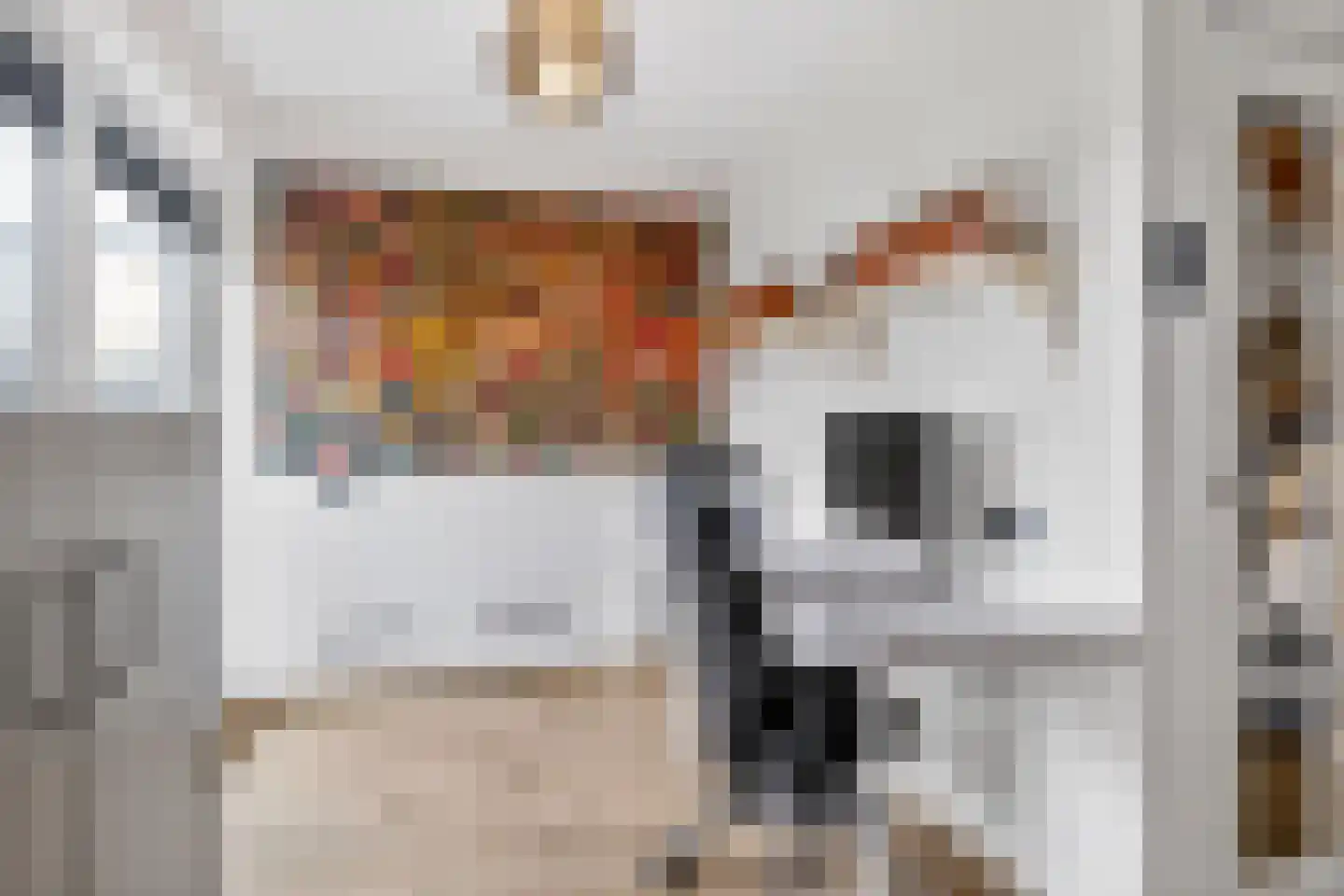 Koenenlaan 4 Wageningen thumbnail 9