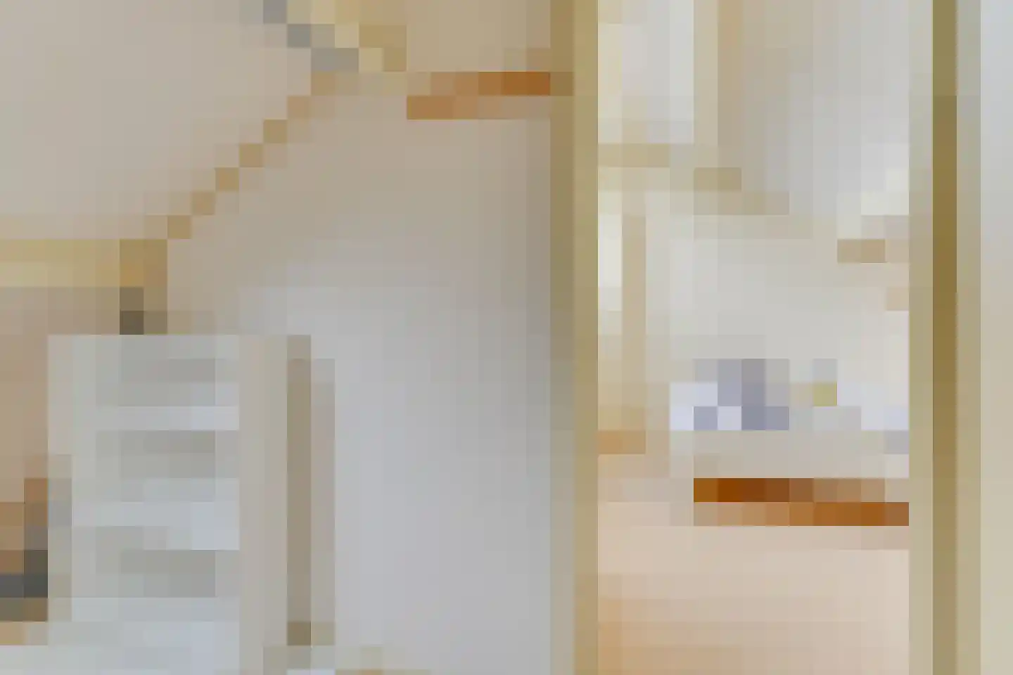 Koenenlaan 42 Heerhugowaard thumbnail 38