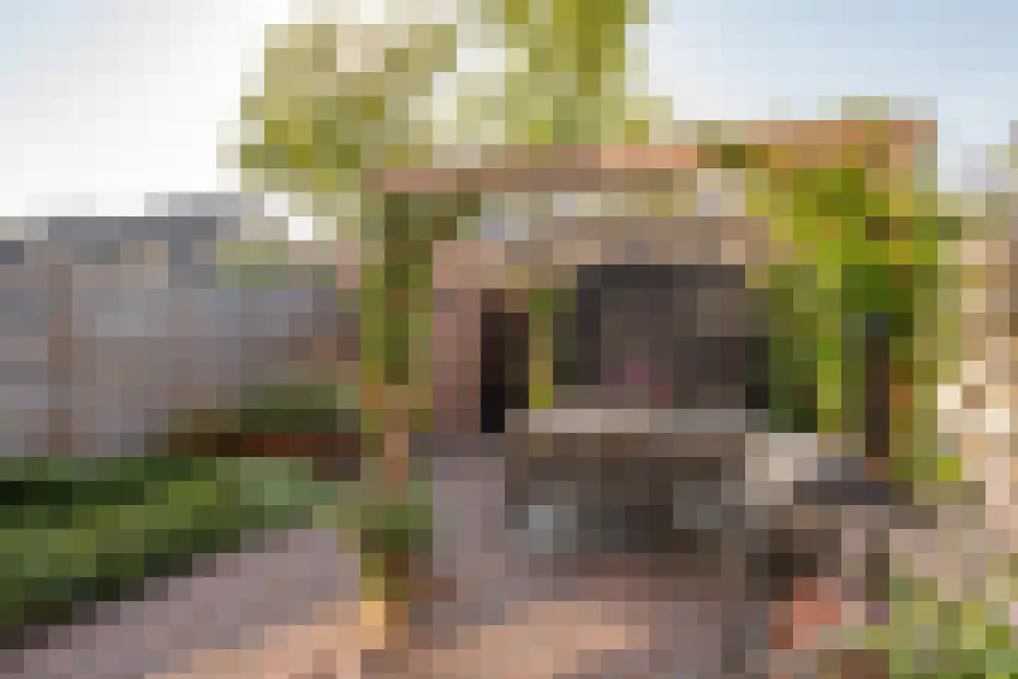 Koenenlaan 8 Heerhugowaard thumbnail 36