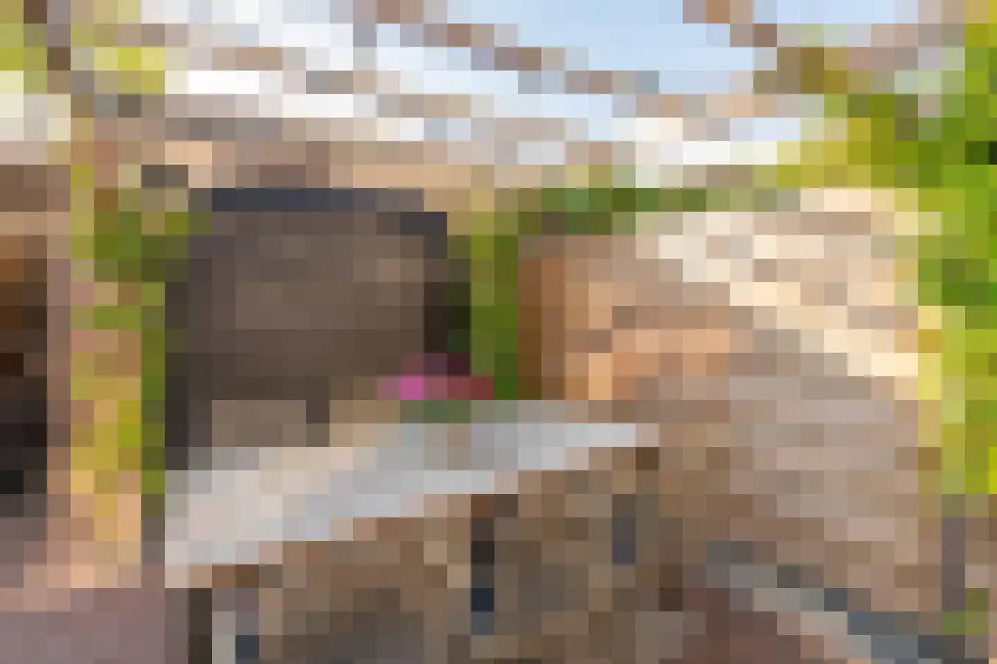 Koenenlaan 8 Heerhugowaard thumbnail 37