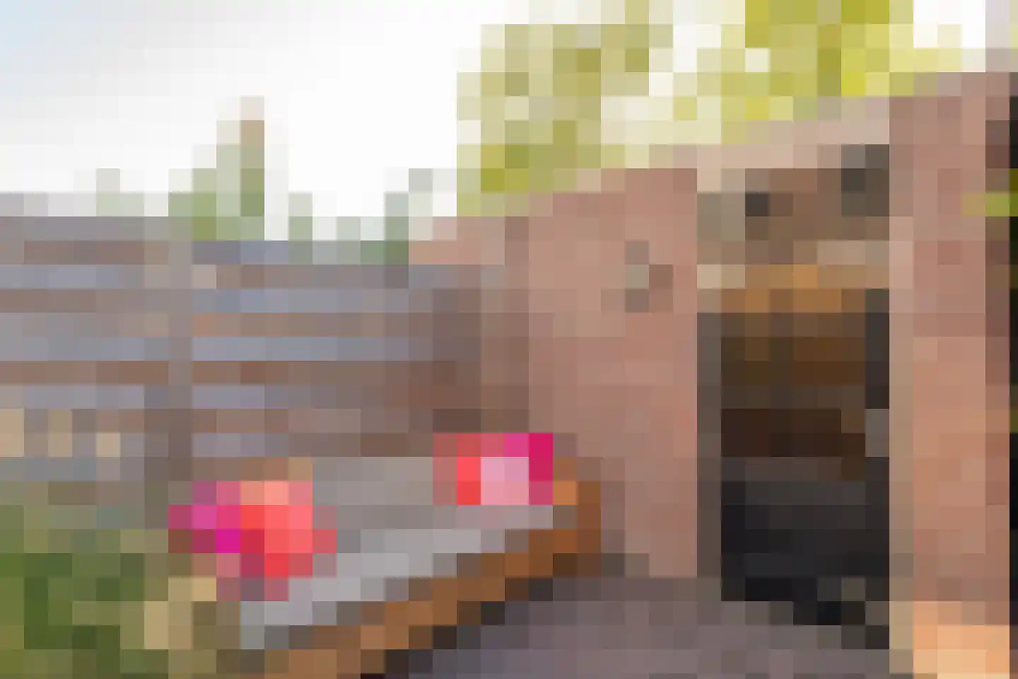 Koenenlaan 8 Heerhugowaard thumbnail 38