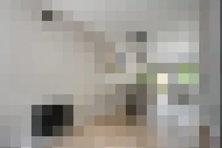 Koenermaat 61 Meppel thumbnail 10