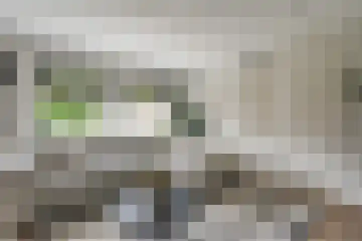 Koenermaat 61 Meppel thumbnail 13