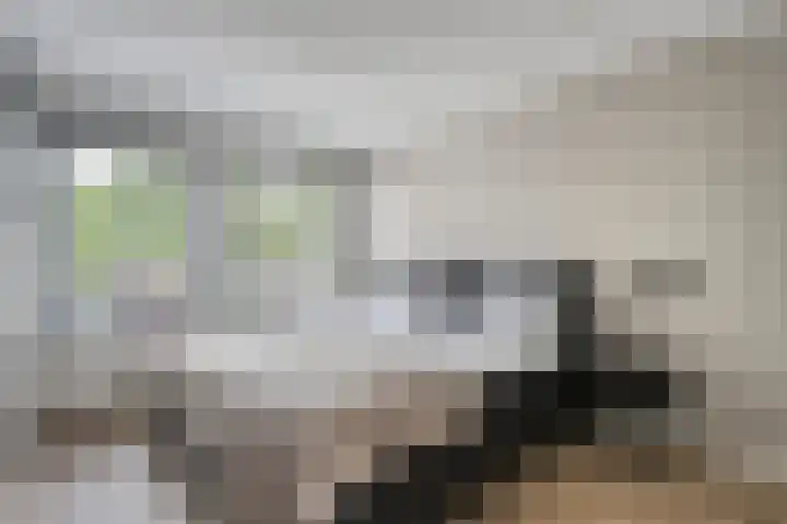 Koenermaat 61 Meppel thumbnail 17