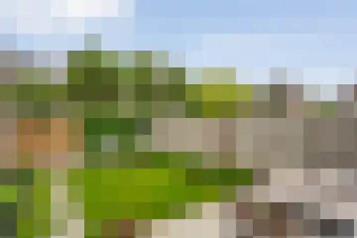 Koenermaat 61 Meppel thumbnail 30