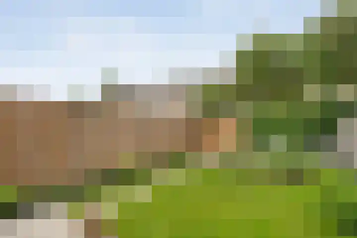 Koenermaat 61 Meppel thumbnail 31