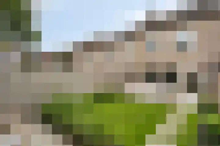 Koenermaat 61 Meppel thumbnail 33